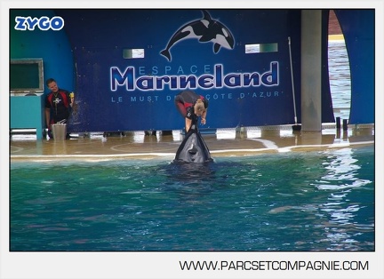 Marineland - Orques - Spectacle - 4598