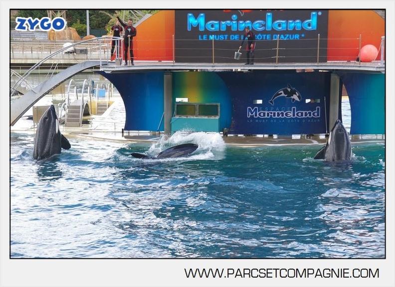 Marineland - Orques - Spectacle - 4611