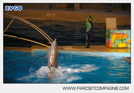 Marineland - Dauphins - Spectacle nocturne - 4701