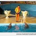 Marineland - Dauphins - Spectacle nocturne - 4702