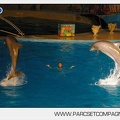 Marineland - Dauphins - Spectacle nocturne - 4705