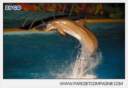 Marineland - Dauphins - Spectacle nocturne - 4709