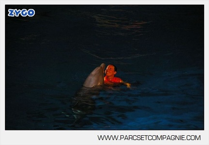 Marineland - Dauphins - Spectacle nocturne - 4710