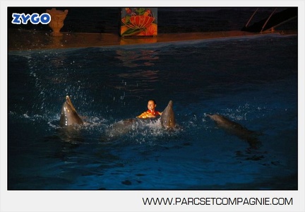 Marineland - Dauphins - Spectacle nocturne - 4714