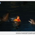 Marineland - Dauphins - Spectacle nocturne - 4715