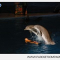 Marineland - Dauphins - Spectacle nocturne - 4716