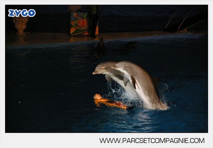 Marineland - Dauphins - Spectacle nocturne - 4716