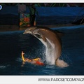 Marineland - Dauphins - Spectacle nocturne - 4717
