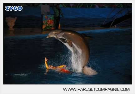 Marineland - Dauphins - Spectacle nocturne - 4717