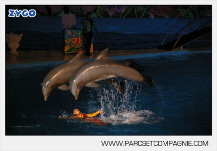 Marineland - Dauphins - Spectacle nocturne - 4718