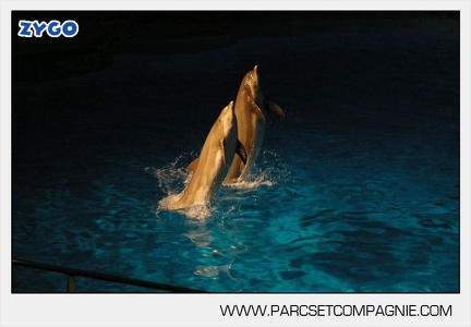 Marineland - Dauphins - Spectacle nocturne - 4721