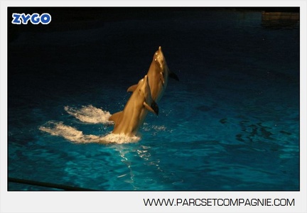 Marineland - Dauphins - Spectacle nocturne - 4722