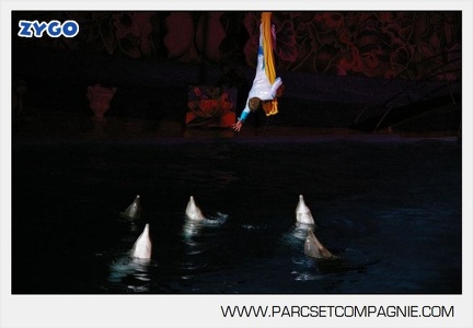 Marineland - Dauphins - Spectacle nocturne - 4734
