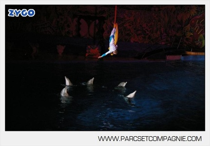 Marineland - Dauphins - Spectacle nocturne - 4735