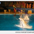 Marineland - Dauphins - Spectacle nocturne - 4737