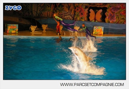 Marineland - Dauphins - Spectacle nocturne - 4737