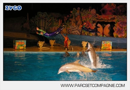 Marineland - Dauphins - Spectacle nocturne - 4738