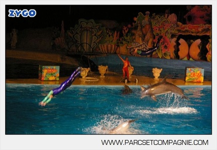 Marineland - Dauphins - Spectacle nocturne - 4739