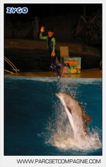 Marineland - Dauphins - Spectacle nocturne - 4740