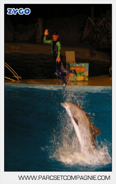 Marineland - Dauphins - Spectacle nocturne - 4740