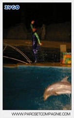 Marineland - Dauphins - Spectacle nocturne - 4741