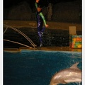 Marineland - Dauphins - Spectacle nocturne - 4741