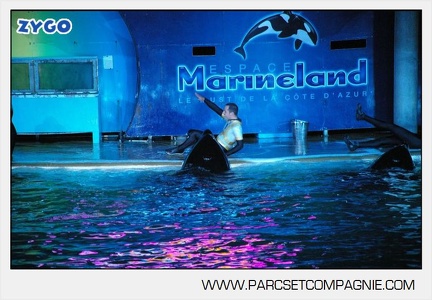 Marineland - Orques - Spectacle nocturne - 4748
