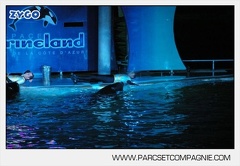 Marineland - Orques - Spectacle nocturne - 4749