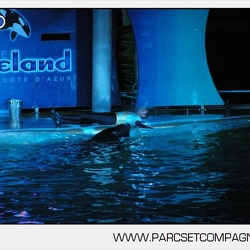 Marineland - Orques - Spectacle nocturne