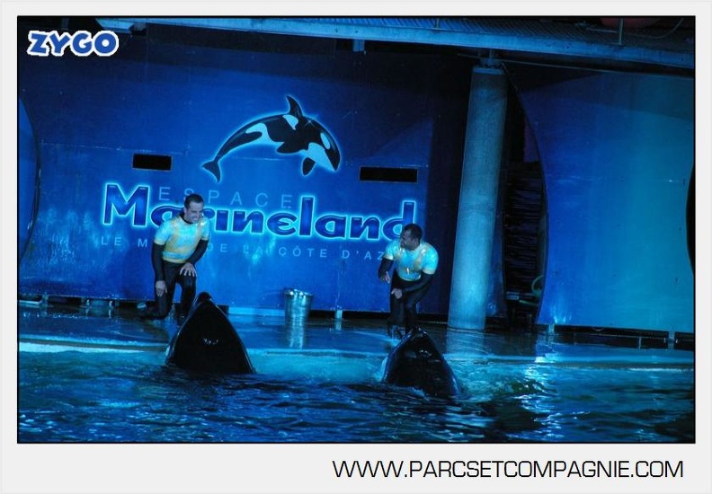 Marineland_-_Orques_-_Spectacle_nocturne_-_4752.jpg