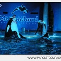 Marineland - Orques - Spectacle nocturne - 4756