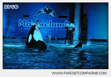 Marineland - Orques - Spectacle nocturne - 4757