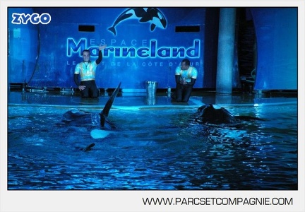 Marineland - Orques - Spectacle nocturne - 4758