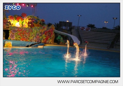 Marineland - Dauphins - Spectacle - Nocturne - 4941