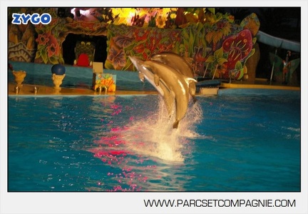 Marineland - Dauphins - Spectacle - Nocturne - 4950