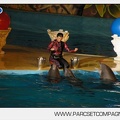 Marineland - Dauphins - Spectacle - Nocturne - 4951