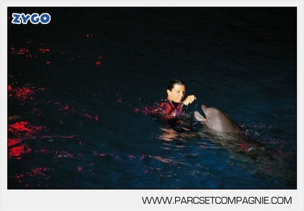 Marineland - Dauphins - Spectacle - Nocturne - 4953