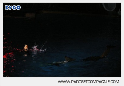 Marineland - Dauphins - Spectacle - Nocturne - 4960