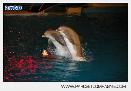 Marineland - Dauphins - Spectacle - Nocturne - 4961