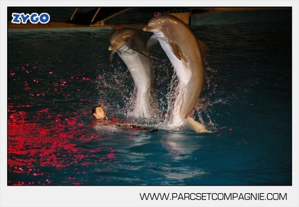 Marineland - Dauphins - Spectacle - Nocturne - 4962