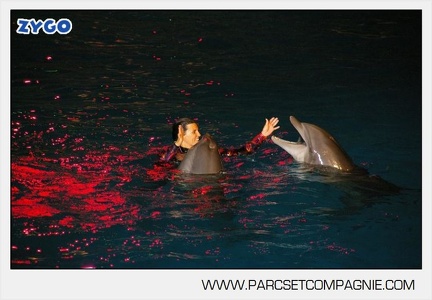 Marineland - Dauphins - Spectacle - Nocturne - 4963
