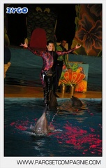 Marineland - Dauphins - Spectacle - Nocturne - 4965