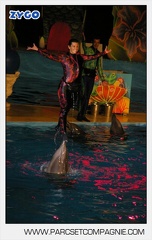 Marineland - Dauphins - Spectacle - Nocturne - 4966