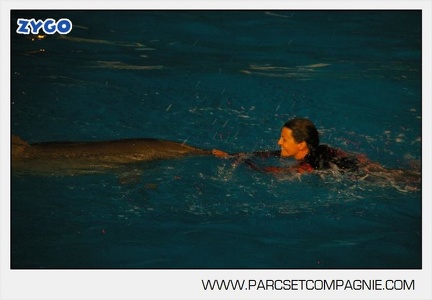 Marineland - Dauphins - Spectacle - Nocturne - 4968
