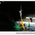 Marineland - Dauphins - Spectacle - Nocturne - 4976