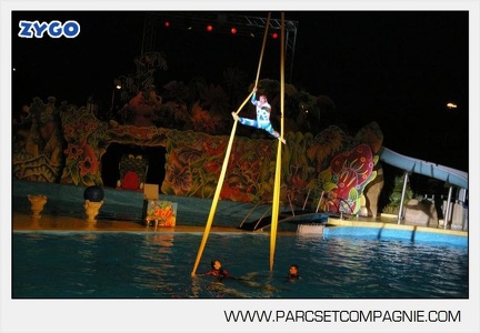 Marineland - Dauphins - Spectacle - Nocturne - 4984