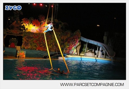 Marineland - Dauphins - Spectacle - Nocturne - 4985
