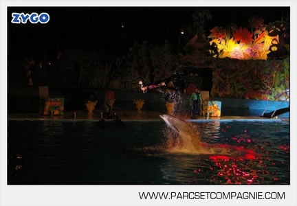 Marineland - Dauphins - Spectacle - Nocturne - 4988