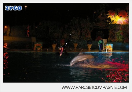 Marineland - Dauphins - Spectacle - Nocturne - 4989
