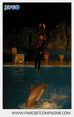 Marineland - Dauphins - Spectacle - Nocturne - 4990